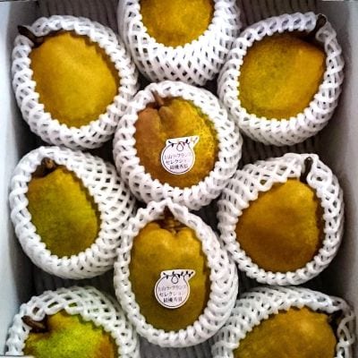 【農園直送!】西洋梨(ラ・フランス)3kg　ご家庭用　0044-2604