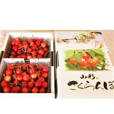 さくらんぼ(佐藤錦)800g　ご家庭用　0025-2602