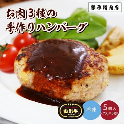 お肉三種の手作りハンバーグ　70g×5個　0114-2501