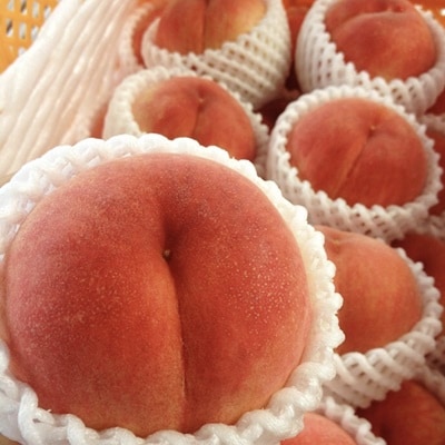 白桃　2.5kg　特秀品　0047-2604