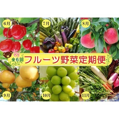 【定期便:全6回】フルーツと無農薬野菜(栽培期間中)の定期便　0148-2601