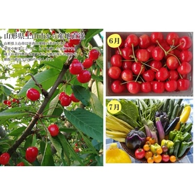 【定期便:全6回】フルーツと無農薬野菜(栽培期間中)の定期便　0148-2601