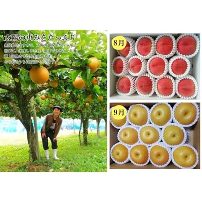 【定期便:全6回】フルーツと無農薬野菜(栽培期間中)の定期便　0148-2601