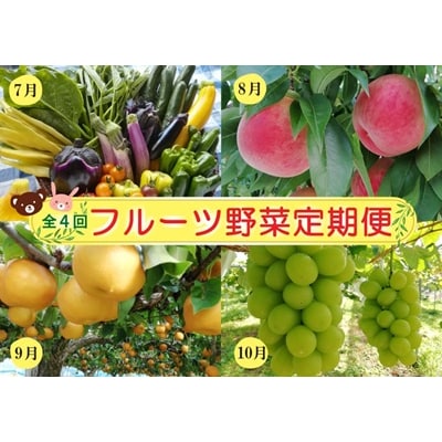 【定期便:全4回】フルーツと無農薬野菜(栽培期間中)の定期便　0148-2602