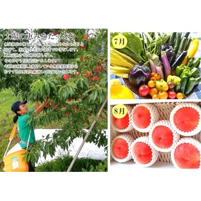 【定期便:全4回】フルーツと無農薬野菜(栽培期間中)の定期便　0148-2602