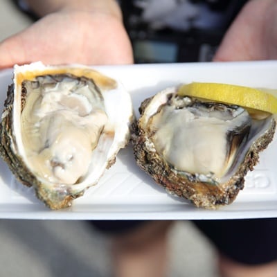 「山形ワインバル2026」チケット　0023-2501