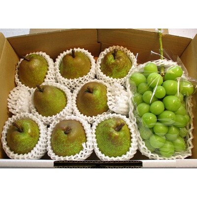 シャインマスカットとラ・フランスの詰合せ　3kg　0025-2613