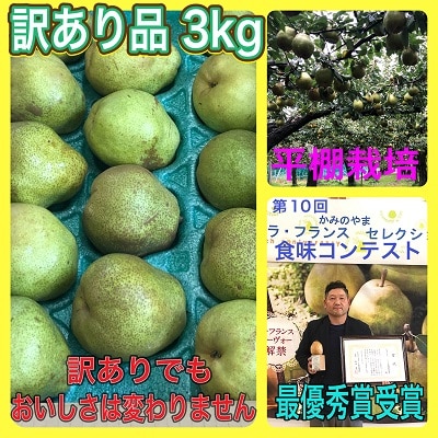 西洋梨(ラ・フランス)3kg　ご家庭用　0102-2503