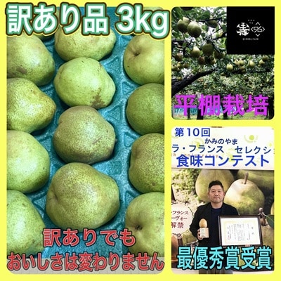 訳あり(ご家庭用) 西洋梨 ラフランス 3kg 0102-2604