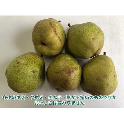 西洋梨(ラ・フランス)3kg　ご家庭用　0102-2503