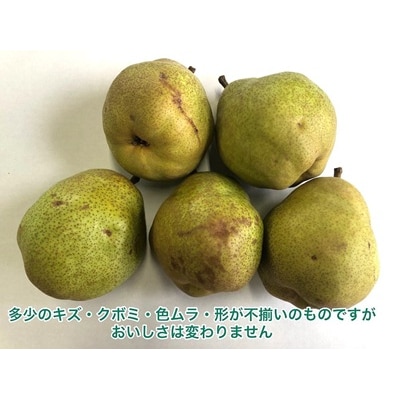 訳あり(ご家庭用) 西洋梨 ラフランス 3kg 0102-2604