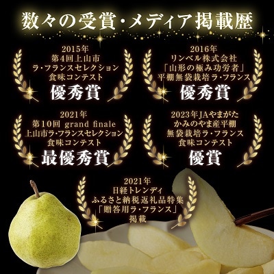 西洋梨(ラ・フランス)3kg　ご家庭用　0102-2503