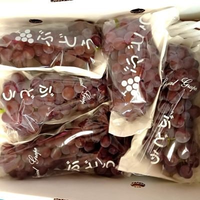 ぶどう(デラウェア)1kg　0142-2601