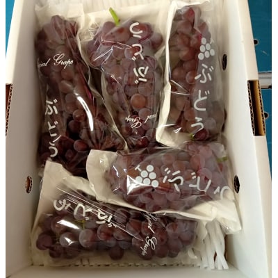 ぶどう(デラウェア)1kg　0142-2501