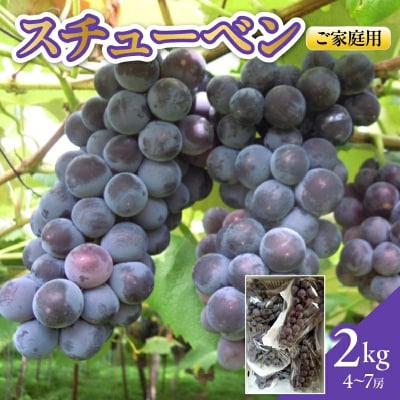 ぶどう(スチューベン)2kg　ご家庭用　0142-2605