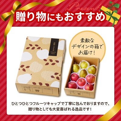 ラ・フランスとふじりんごの詰め合わせ　3kg　0079-2623