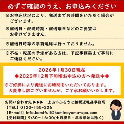 かみのやまシュー　10個　0048-2505