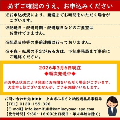 かみのやまシュー　10個　0048-2505