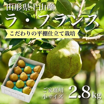 西洋梨(ラ・フランス)2.8kg M・Lサイズ ご家庭用(小) 0052-2405 | 山形 