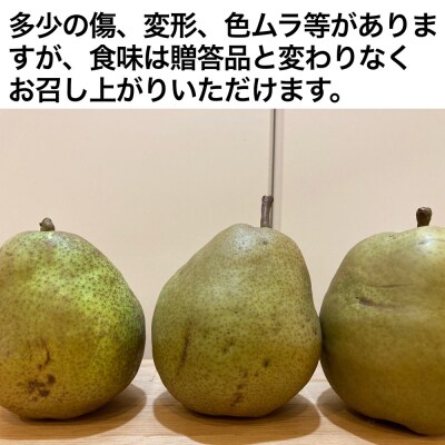 西洋梨(ラ・フランス)2.8kg M・Lサイズ ご家庭用(小) 0052-2405 | 山形 