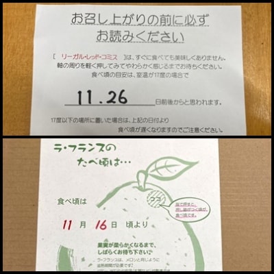 【リーガル・レッド・コミス】と【ラ・フランス】の詰合せ　3kg　0078-2501