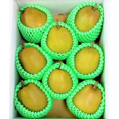 西洋梨(ラ・フランス)2kg　8玉　特秀品　0042-2504