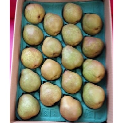 西洋梨(ラ・フランス)5kg　16～18玉　ご家庭用　0042-2608