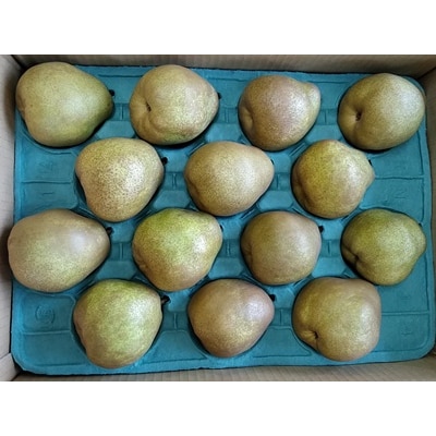 西洋梨(ラ・フランス)5kg　12～14玉　ご家庭用　0042-2609