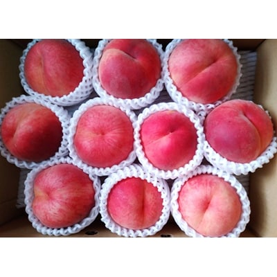 山形の旬の桃(品種おまかせ)3kg　0030-2610