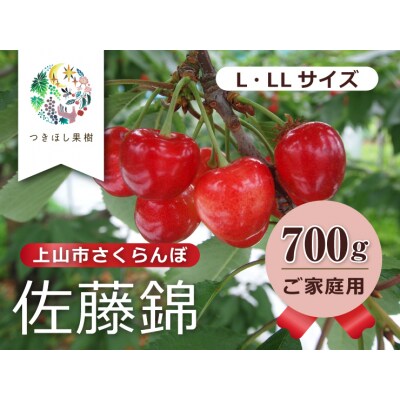 さくらんぼ(佐藤錦)700g(350g×2パック)ご家庭用　0140-2501