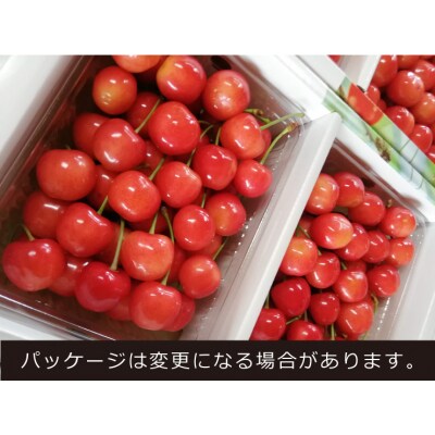 さくらんぼ(佐藤錦)700g(350g×2パック)ご家庭用　0140-2501