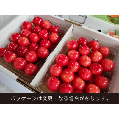 さくらんぼ(佐藤錦)700g(350g×2パック)L～2L　0140-2502