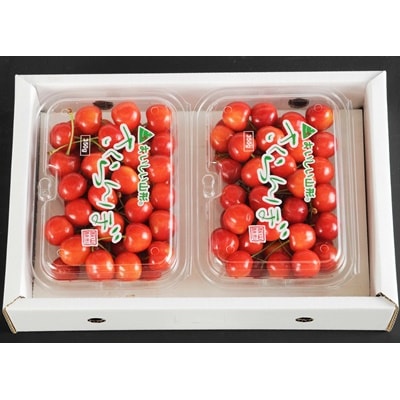 さくらんぼ(品種おまかせ)700g(350g×2パック)フードパック入り　0020-2605