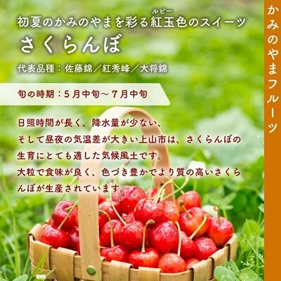 さくらんぼ(品種おまかせ)700g(350g×2パック)フードパック入り　0020-2605
