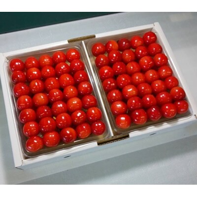 【数量限定】さくらんぼ(佐藤錦)1kg　特秀品　手詰め　0106-2502