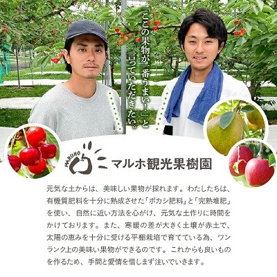 さくらんぼ(佐藤錦または紅秀峰)1kg　0078-2511