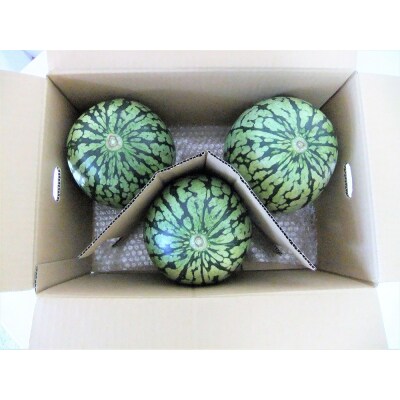 小玉すいか(ピノガール)3～6個　0030-2609