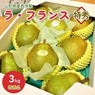 【山形セレクション認定品】西洋梨(ラ・フランス)3kg　特秀品　0010-2504