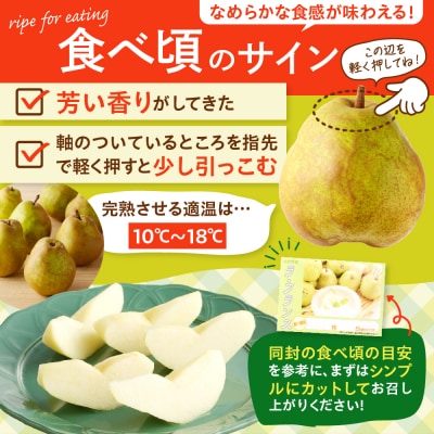 西洋梨(ラ・フランス)3kg　ご家庭用　0136-2502