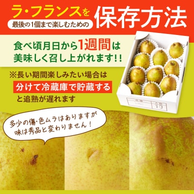 西洋梨(ラ・フランス)3kg　ご家庭用　0136-2502