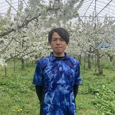 西洋梨(ラ・フランス)3kg　ご家庭用　0136-2502