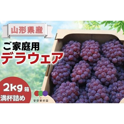 【産地直送】ぶどう(デラウェア)ご家庭用　0079-2609