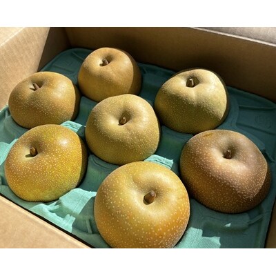 和梨(幸水または南水)2.5kg　ご家庭用　0012-2611