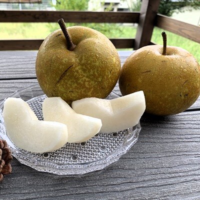 和梨(幸水または南水)2.5kg　ご家庭用　0012-2611