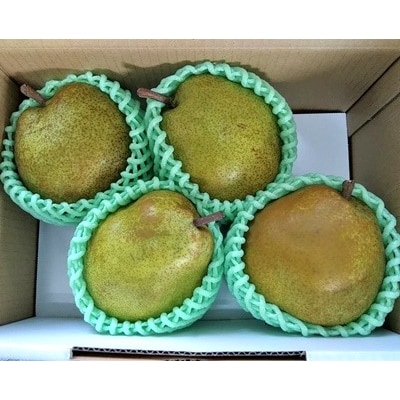 西洋梨(ラ・フランス)2kg　4玉　ご家庭用　0042-2511