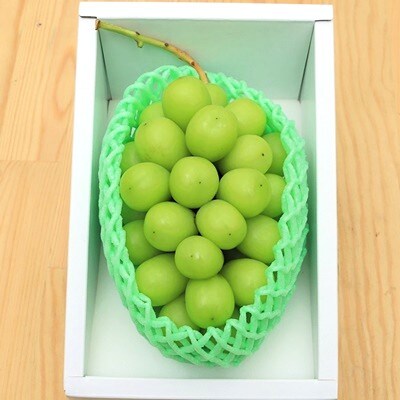 【特選・大房】シャインマスカット　1房(750g以上)化粧箱入　0049-2609