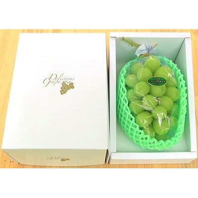 【特選・大房】シャインマスカット　1房(750g以上)化粧箱入　0049-2609