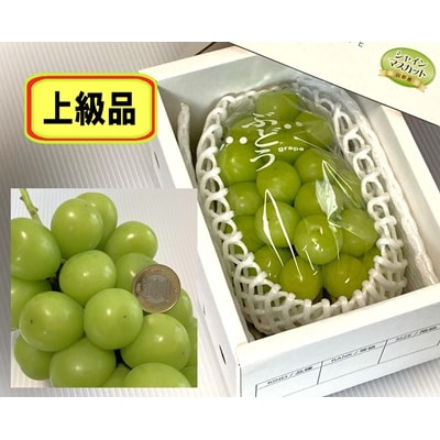 大粒シャインマスカット(上級品)　1房　800g以上　0009-2505