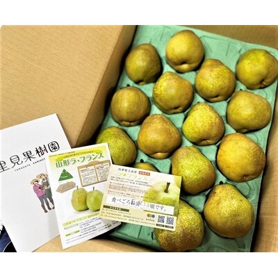 西洋梨(ラ・フランス)5kg　10～20玉　ご家庭用　0079-2617