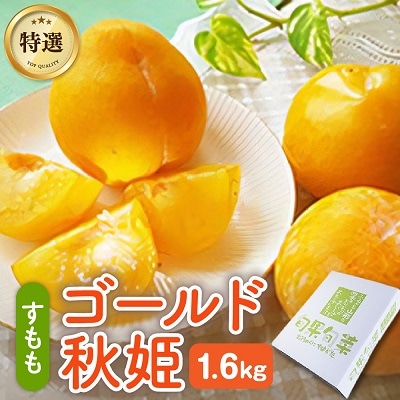 【数量限定】プラム(ゴールド秋姫)1.6kg　秀品　0106-2507